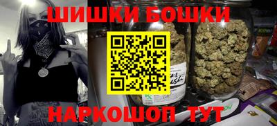 прущие грибы Сланцы