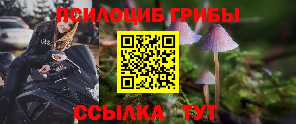 Псилоцибиновые грибы прущие грибы  Вход с VPN  Петропавловск-Камчатский 